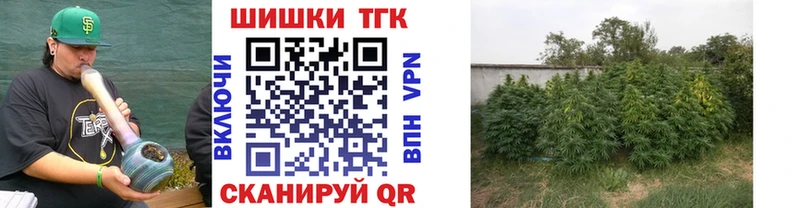 Где купить Минеральные Воды hydra как войти  COCAIN  ГАШИШ  Псилоцибиновые грибы  Меф мяу мяу  Alpha-PVP  Марихуана 