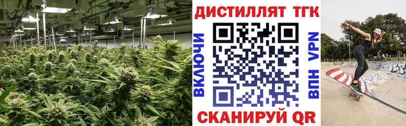 магазин  наркотиков  Минеральные Воды  ТГК гашишное масло 