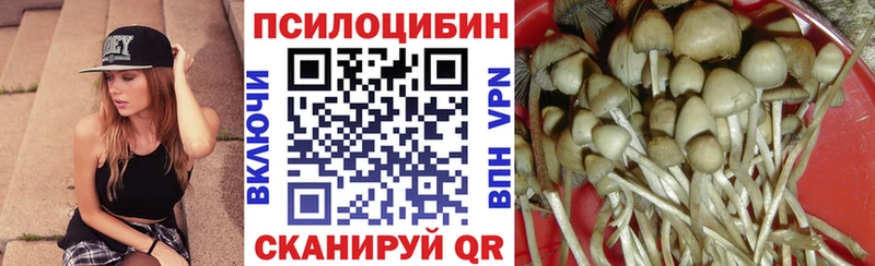 Псилоцибиновые грибы мицелий где купить наркоту Минеральные Воды